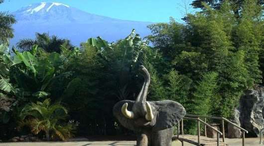 מושי Kilemakyaro Mountain Lodge מראה חיצוני תמונה