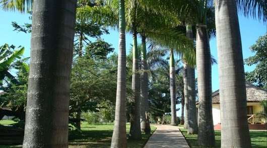 מושי Kilemakyaro Mountain Lodge מראה חיצוני תמונה