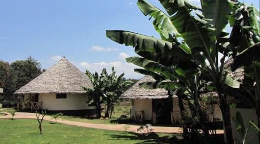 מושי Kilemakyaro Mountain Lodge מראה חיצוני תמונה
