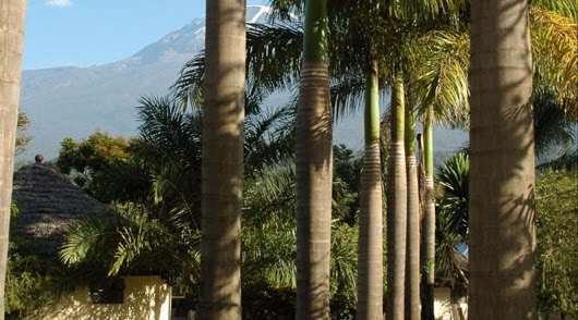 מושי Kilemakyaro Mountain Lodge מראה חיצוני תמונה